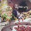 THE ORGANIC WAY : สำนักพิมพ์บ้านและสวน