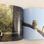 Birds ความในภาพนก เล่ม 1 ปกออ่อน หนังสือถ่ายภาพนก หนังสือ สารคดี