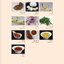 อัตลักษณ์อาหารไทย ๔ ภาค The Identity of Thai Cuisine in the 4 Regions