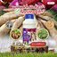 Lion Boom Formula #3 อาหารพืชสูตรเข้มข้นสำหรับพืชหัวทุกชนิด